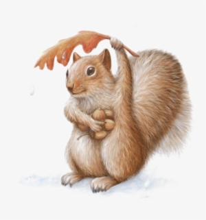 Squirrel Chipmunk Art Watercolor Painting Drawing - 10k Black Hills Gold Band Ring Rose