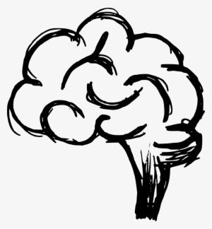 Png File Size - Brain Drawing