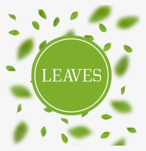 Leaves Arrangement Background With Blur Leaves, Leaves, - Leaf