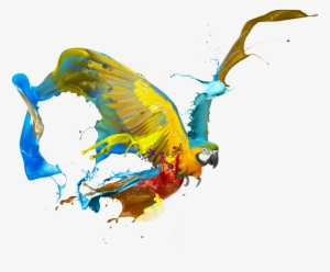 Free Creative Web Design Png - Art Graphic Design Png