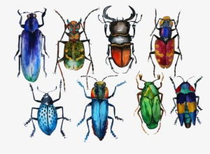 Watercolor Bugs