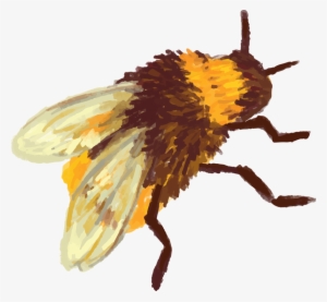 Bee1 - Beehive Vector Bee