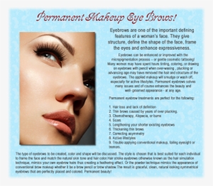 Classic Brows - Eyelash