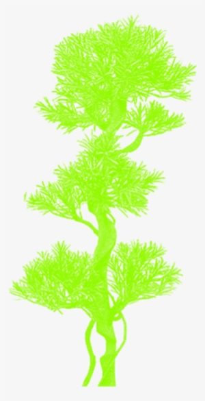 Tree Clipart Vector Cartoon Without Background, Tree - Clip Art
