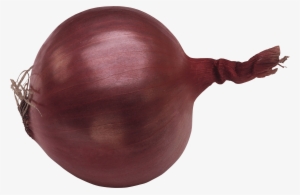 Vegetables - Onion Transparent