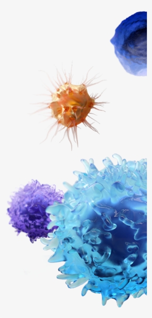 Molecules - Molecule