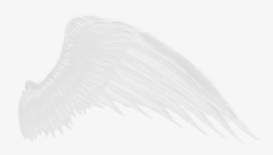 Download - White Wings Transparent Background