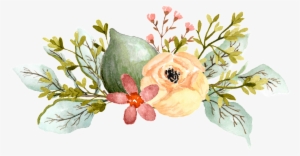 Acuarela Pintada A Mano De Dibujos Animados Elegante - Watercolor Elegant Flowers Png
