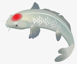 White Koi Fish Png Clip Art Image