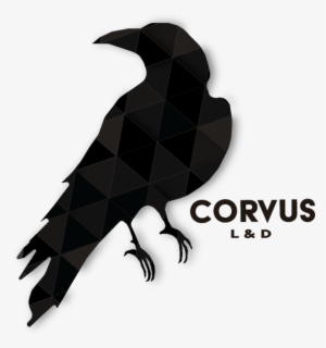 Vector Guillermo J Holguin - American Crow