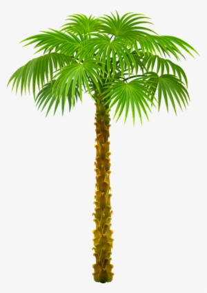 0, - Trees On Beach Png