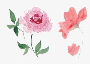 Flower Watercolor Png Free - Watercolor Flower Png Pink