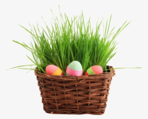 Easter Egg Basket Png Transparent Image - Happy Belated Birthday Kay