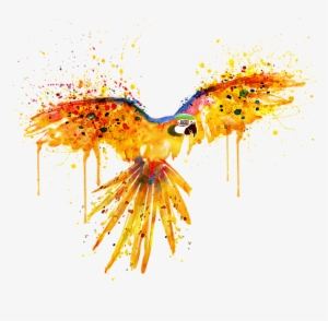 Bleed Area May Not Be Visible - Parrot Watercolor Flying