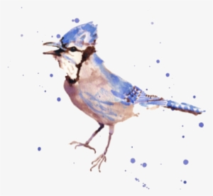 Cute Banner Better Then Anything Hiss - Blue Jay Bird Art