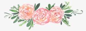Watercolor Peonies, Peonies, Peony, Floral Png And - Water Color Peonies No Background