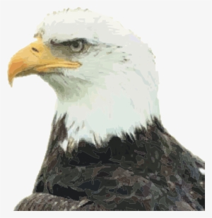 Eagle Svg Clip Arts 576 X 595 Px