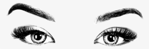 Eyes Vision See Woman Banner Transparent Stock - Eyes And Eyebrows Png