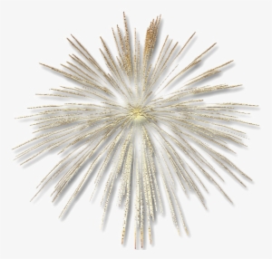Fireworks Png Transparent Image - Gold Fireworks Transparent Background