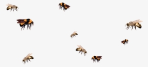 Bee Drawing Aesthetic - Bee Png Transparent