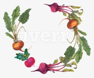 Rooted Event Company