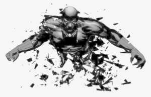 Series Two Black Panther - Divided We Stand Marvel Now