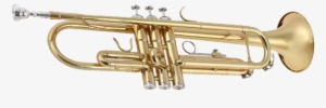 Trumpet Png - Transparent Background Trumpet Transparent