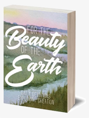 Beauty Of The Earth: Daily Devotions Explori - Trade