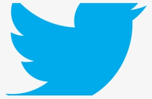 Twitter Logo Vector Grey