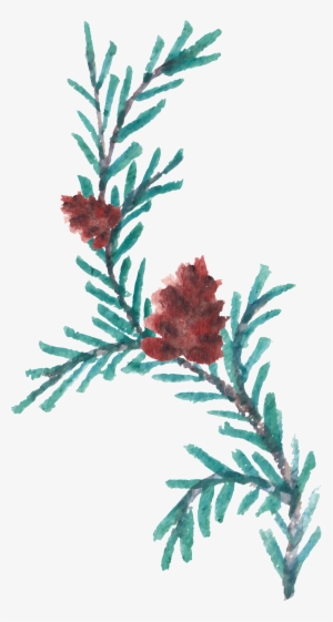Hand Painted Crimson Flowers Transprent Png Free - Watercolor Painting
