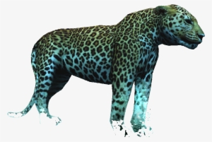 Ac4db - Jaguar - Jaguar