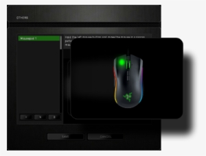 Surface Calibration - Mouse