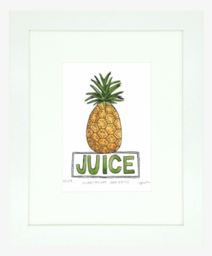 Where Pineapples Grow - Pineapple