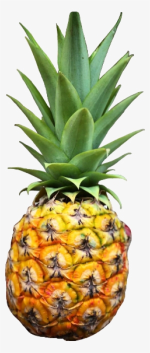 Scpineapple Pineapple Freetoedit Fruit Tropical - Pineapple