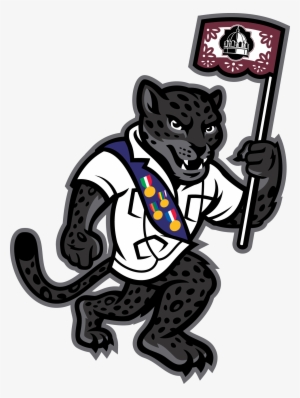Fiesta Jaguar, Png - College Flags And Banners Co. Tamusa Jaguars Garden