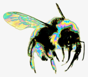 Transparent Tumblr Bee