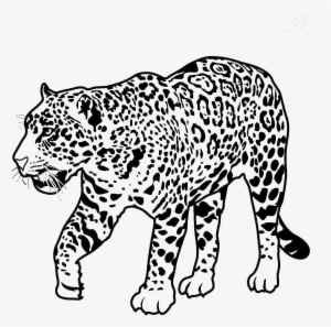 Jaguar Walking Transparent Image - Jaguar Clipart Black And White