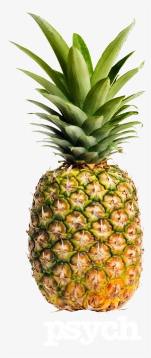 Go To Image - Cafepress Pineapple Iphone 6 Tough Case