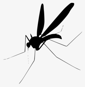 Mosquito Comments - Mosquito Png