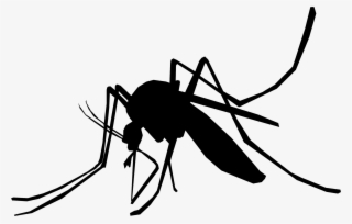 Download Png - Mosquito Black And White Png