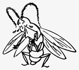Crying Insect Svg Free - Insecto Llorando