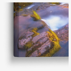 Canvases - First Epistle Of John