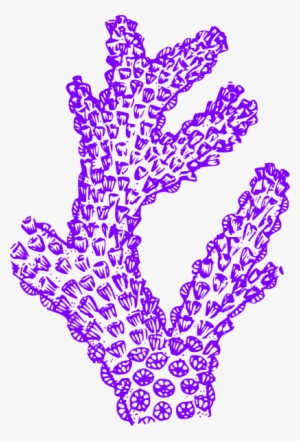 Purple Coral Clip Art - Coral Clip Art