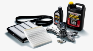 At Elgin Toyota, Our Knowledgeable And Friendly Staff - Toyota Service