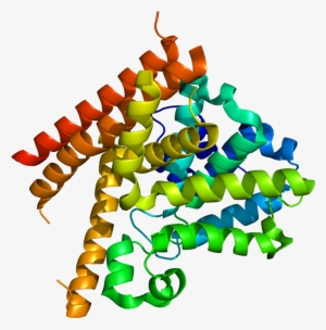 Protein Pde1b Pdb 1taz - Fosfodiesterasa 7