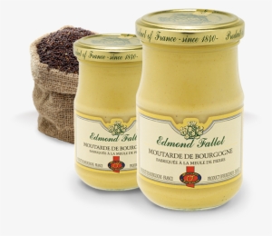 Mustard In Burgundy - Mustard