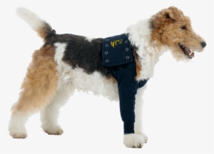 Mps Taz Sleeve - Dog Front Legs Protection