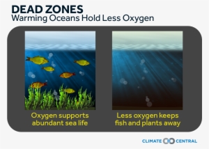 Jpg • Png - Tablet Computer