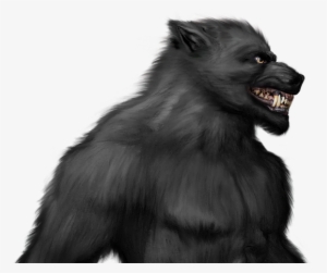 Hombre Lobo Licã¡ntropo - Werewolf Transparent