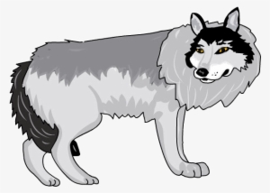 Lobo - Mackenzie River Husky